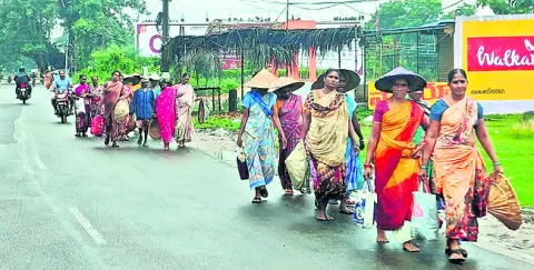 ● పొలం బాట... 