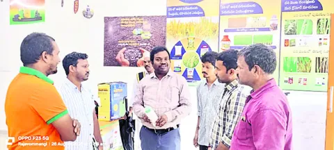 ఎరువుల దుకాణాలు తనిఖీ 
