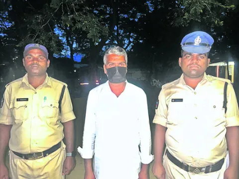 గంజాయి మొక్కలు తొలగింపు  