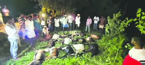 ప్రైవ