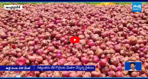 Onion Prices Fall in Kurnool 2