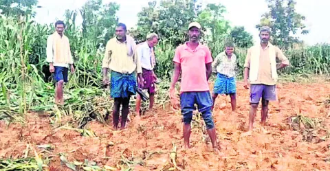 నేడు భీమసింగిలో జాబ్‌మేళా