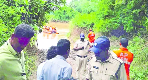 వేధిం