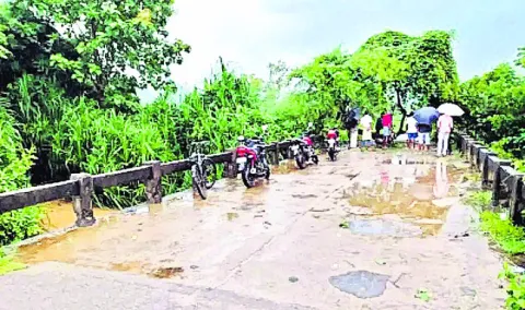 బీజేడ