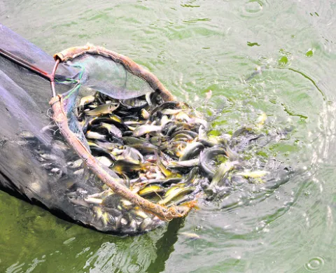 ఈసారి ఆలస్యమే!