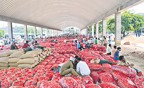 Onion prices are falling day by day