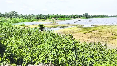 నీరు 