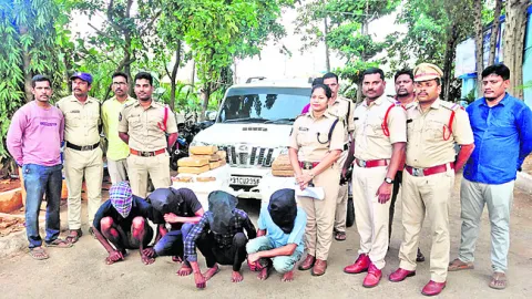 ఒడిశా నుంచి తమిళనాడుకు గంజాయి తరలింపు 