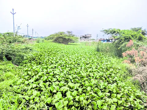 ప్రశ్