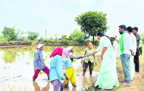 స్థానిక ఎన్నికలకు కార్యకర్తలు సిద్ధంగా ఉండాలి
