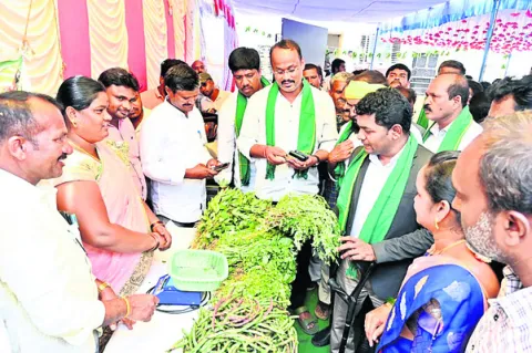 ప్రకృతి వ్యవసాయం లాభదాయకం 
