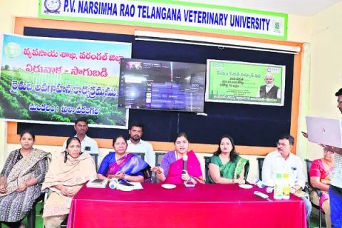 ఎన్‌జ