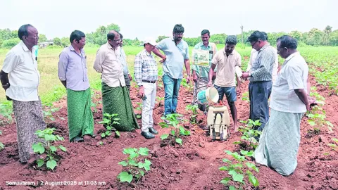నానో యూరియాతో మంచి ఫలితాలు