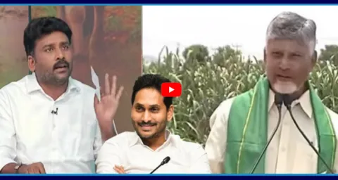Karumuri Venkata Reddy About Chandrababu Comments On Annadata Sukhibhava 2