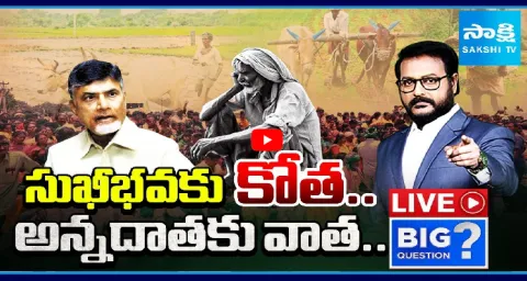 Chandrababu Comments On Annadata Sukhibhava Scheme  1