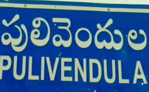 TDP Leaders And Revenue Officials Over Action At Pulivendula