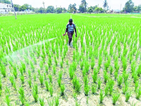 ఇంకా సాధారణమే.. 