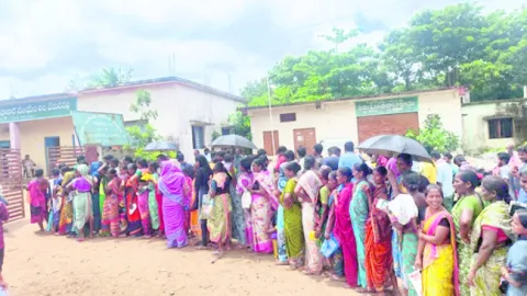 యూరియా కోసం బారులు