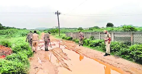 పొలాల్లో పులి.. అప్రమత్తంగా ఉండాలి 
