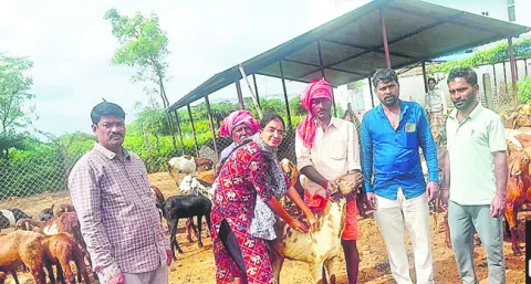 ఉపాధ్