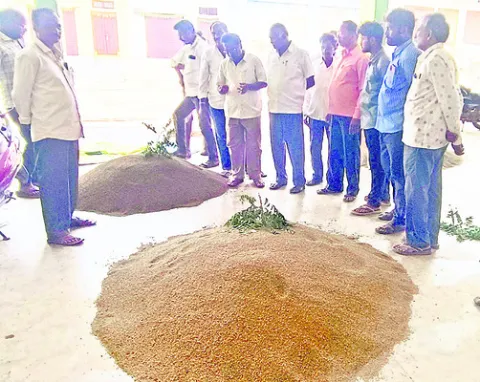 పెసర్