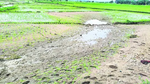 ‘ఎల్లంపల్లి’కి పోటెత్తిన వరద