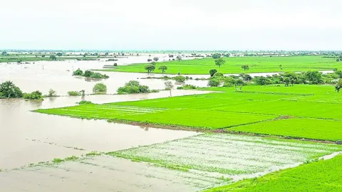 గోదార