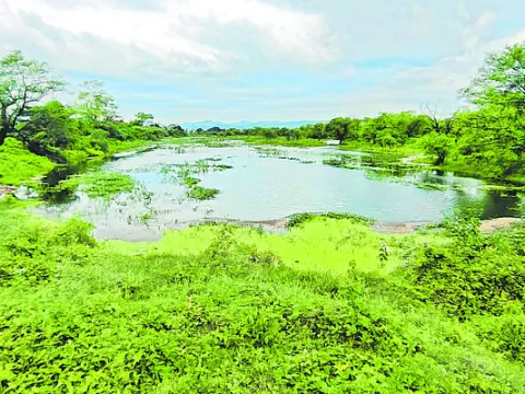 వ్యర్
