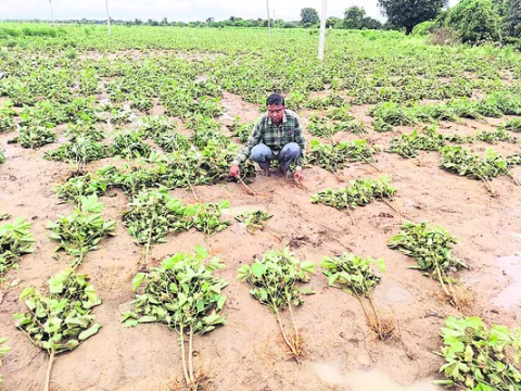 నష్టమే మిగిలింది