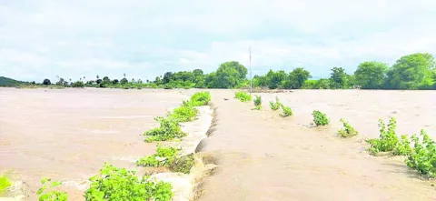 వాగుద