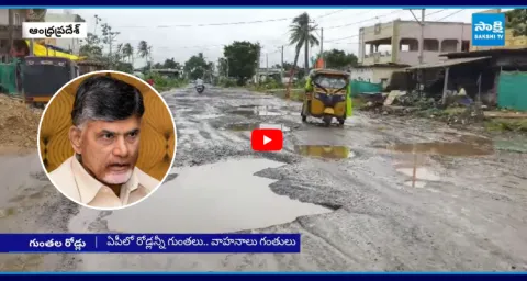 Chandrababu Govt Negligence On Roads In AP 1