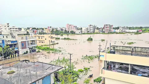 బిడ్డ