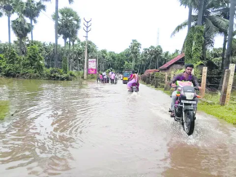 క్రమం