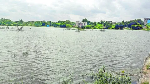 కాలువ