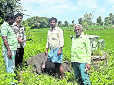 గుండె