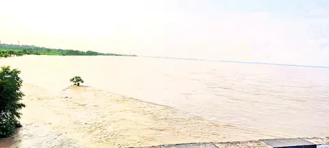 ఉగ్ర 