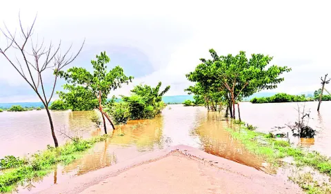 దోబూచ