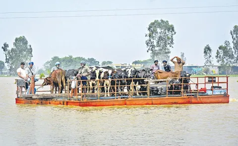 flood of challenges and the barrage of societal expectations in his journey of life