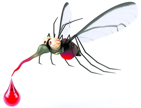 జ్వరా