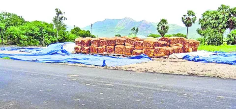 పొగాకు కొనుగోళ్లు బంద్‌ 