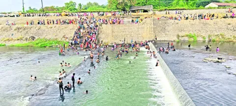 కోలాహ