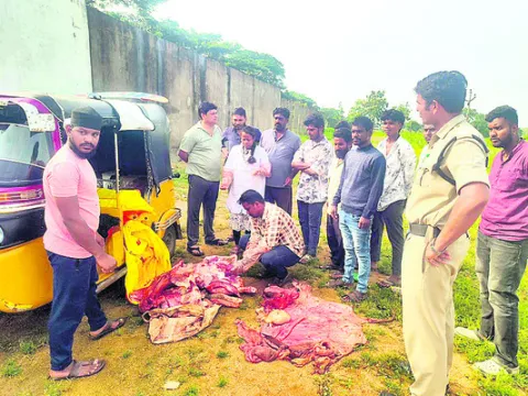 పశుమాంసం పట్టివేత