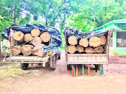 టేకుకలప స్వాధీనం