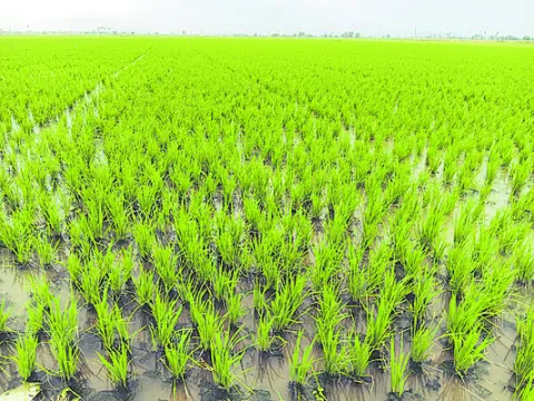 మాటల్