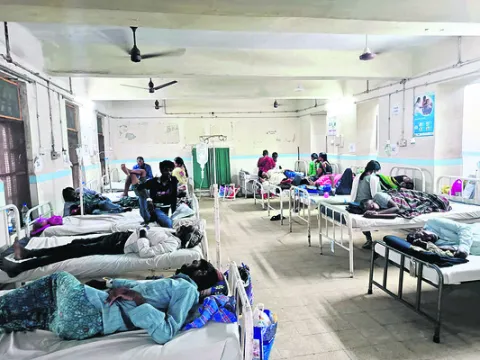 పెద్ద