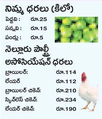 వాయిస