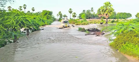 పలు చ
