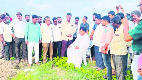 ఆయకట్టుకు సాగర్‌ నీరు