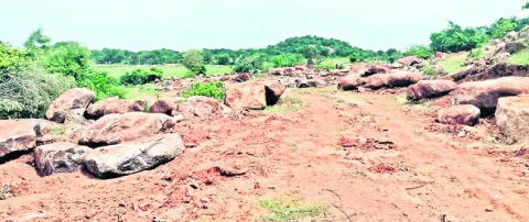 జానాల