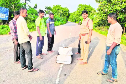 ఎండు గంజాయి పట్టివేత